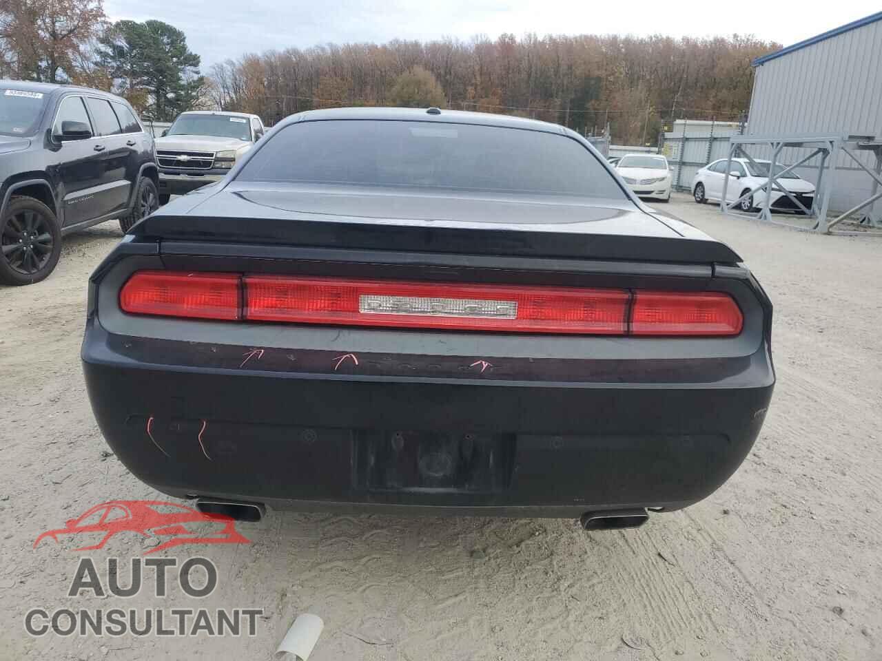 DODGE CHALLENGER 2014 - 2C3CDYAG7EH310858