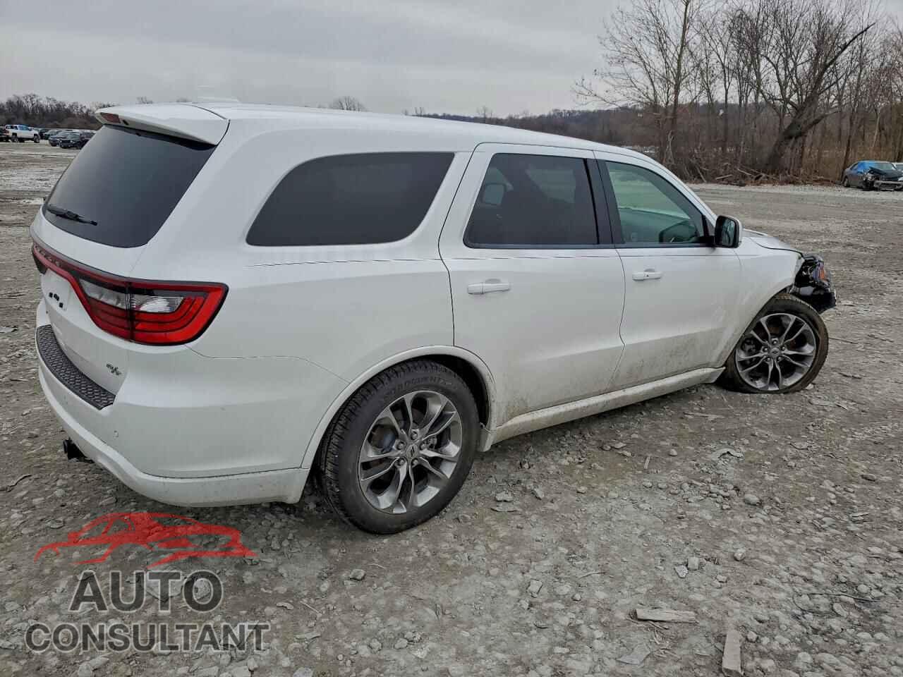 DODGE DURANGO 2019 - 1C4SDJCT2KC599073
