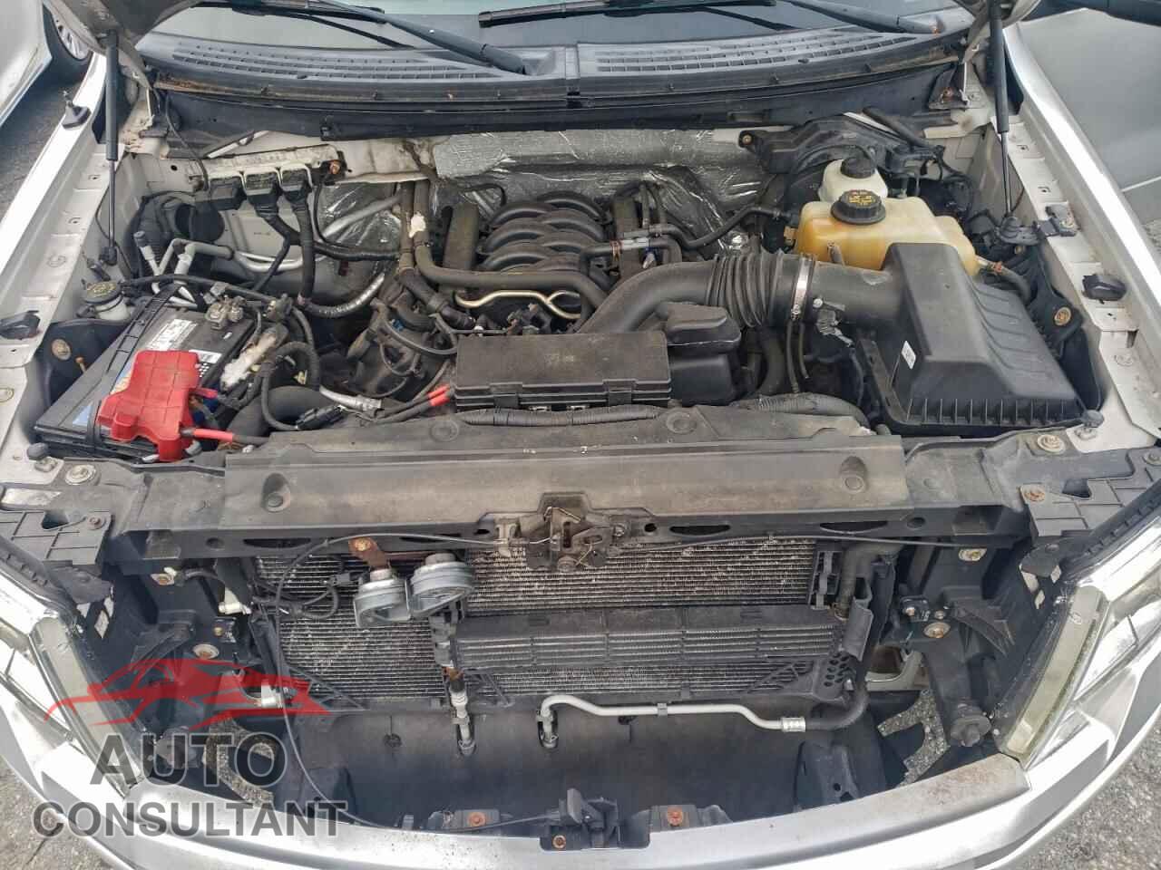 FORD F-150 2013 - 1FTFX1EF8DFD87294