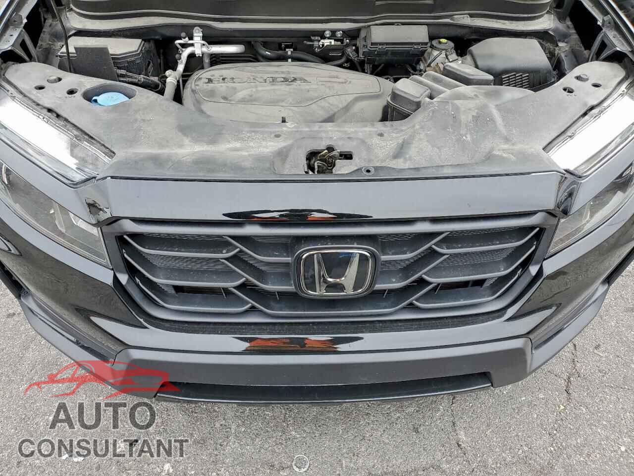 HONDA RIDGELINE 2021 - 5FPYK3F15MB002937