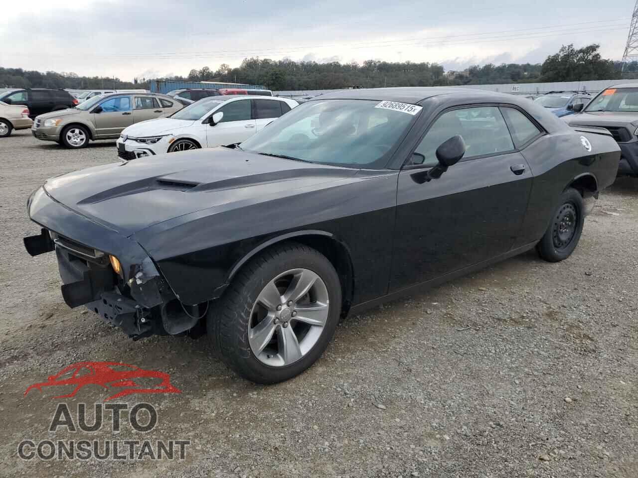 DODGE CHALLENGER 2019 - 2C3CDZAG2KH723689