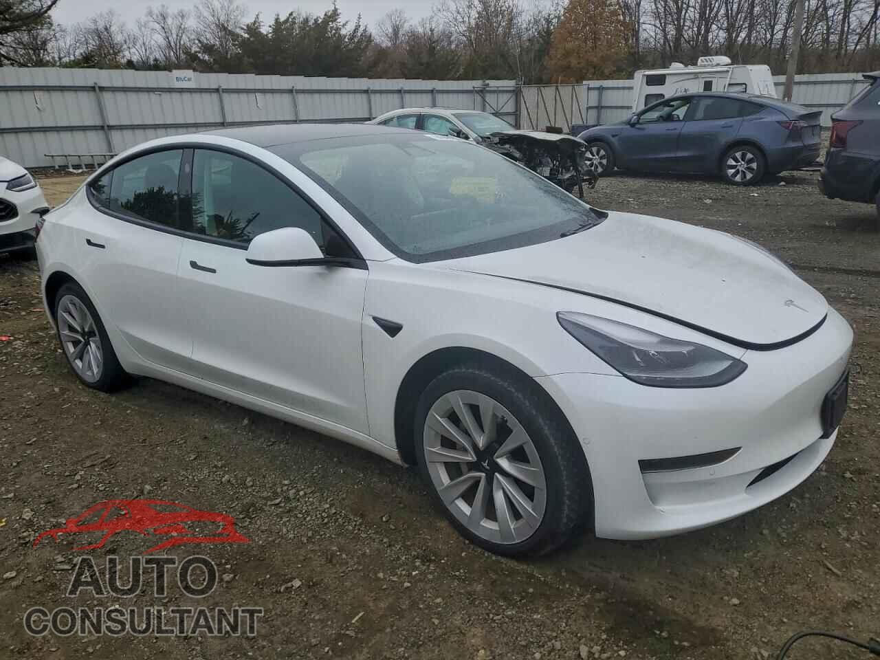 TESLA MODEL 3 2021 - 5YJ3E1EA8MF048231