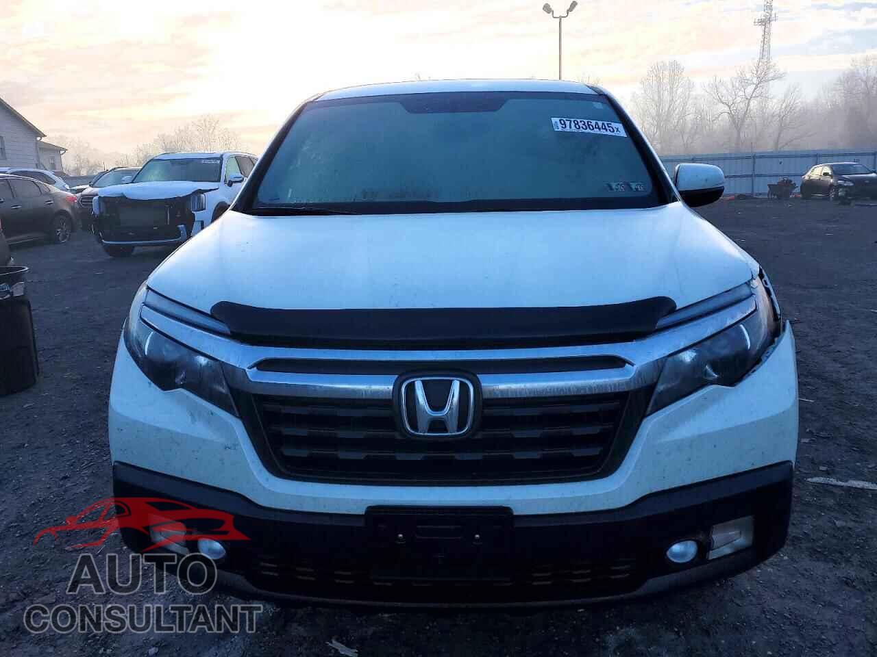 HONDA RIDGELINE 2018 - 5FPYK3F69JB007789