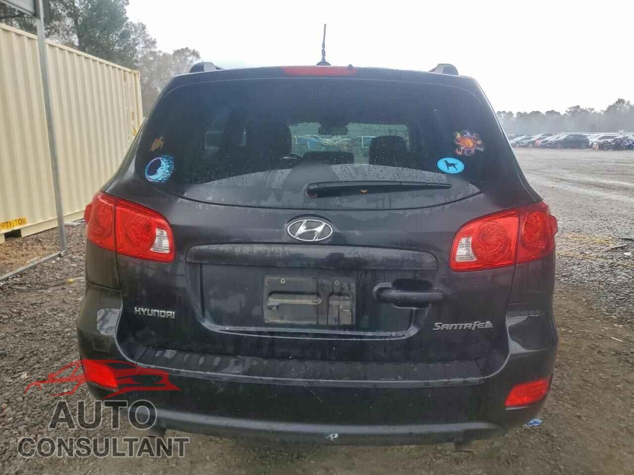HYUNDAI SANTA FE 2009 - 5NMSG13D99H247331