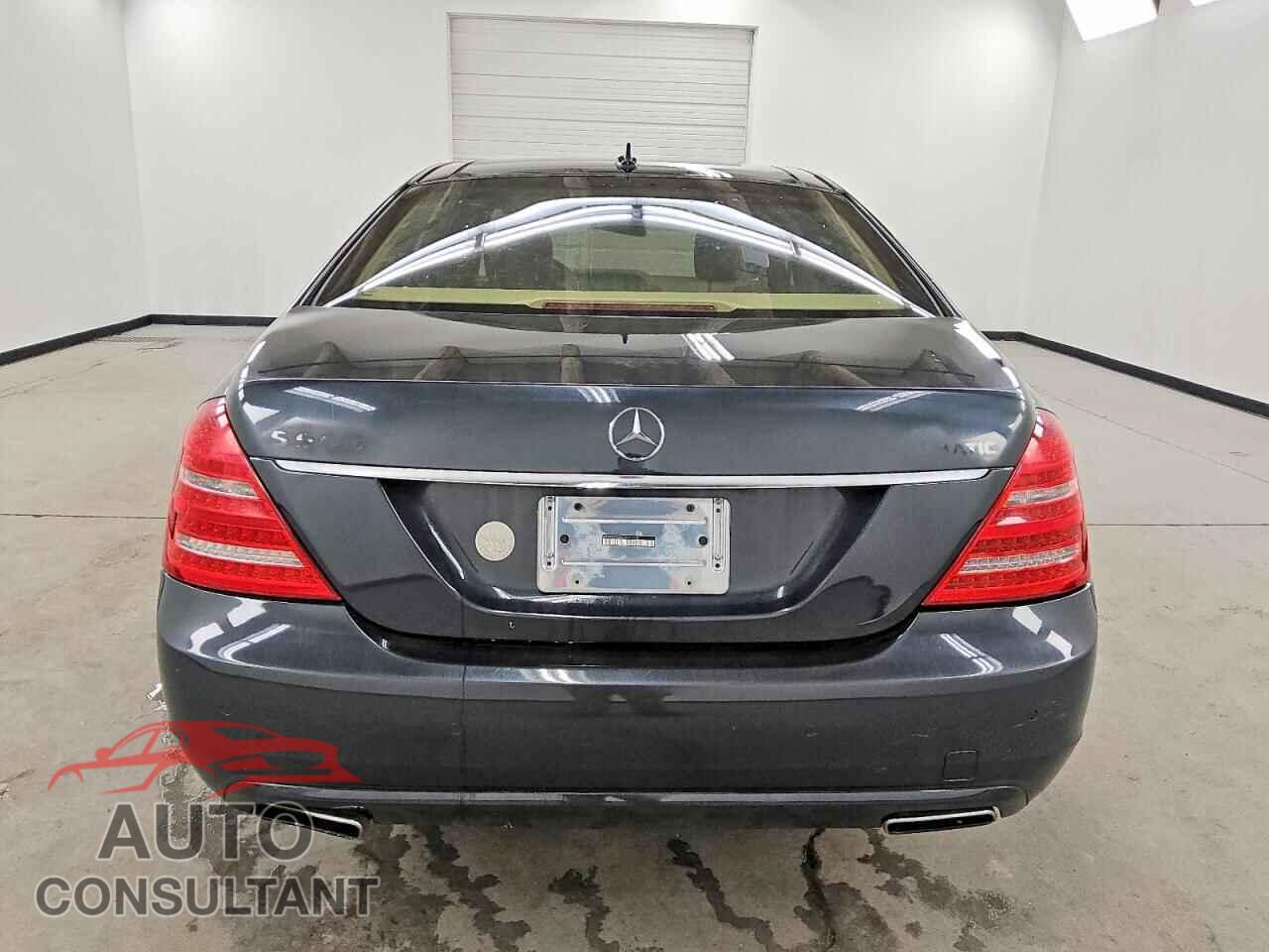 MERCEDES-BENZ S-CLASS 2013 - WDDNG9EBXDA511706