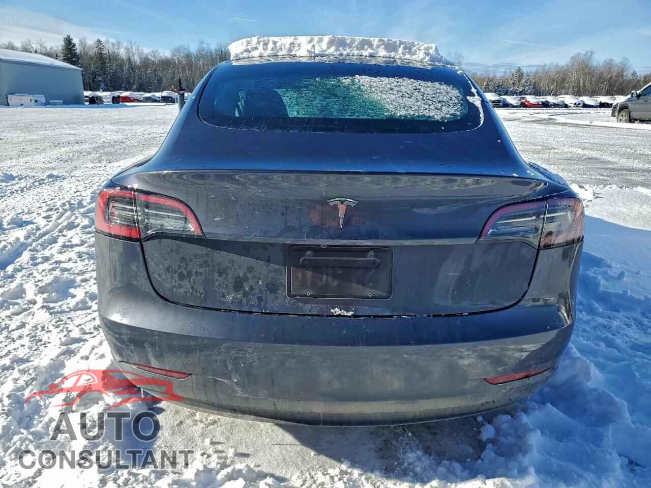TESLA MODEL 3 2023 - LRW3E1FA2PC891743