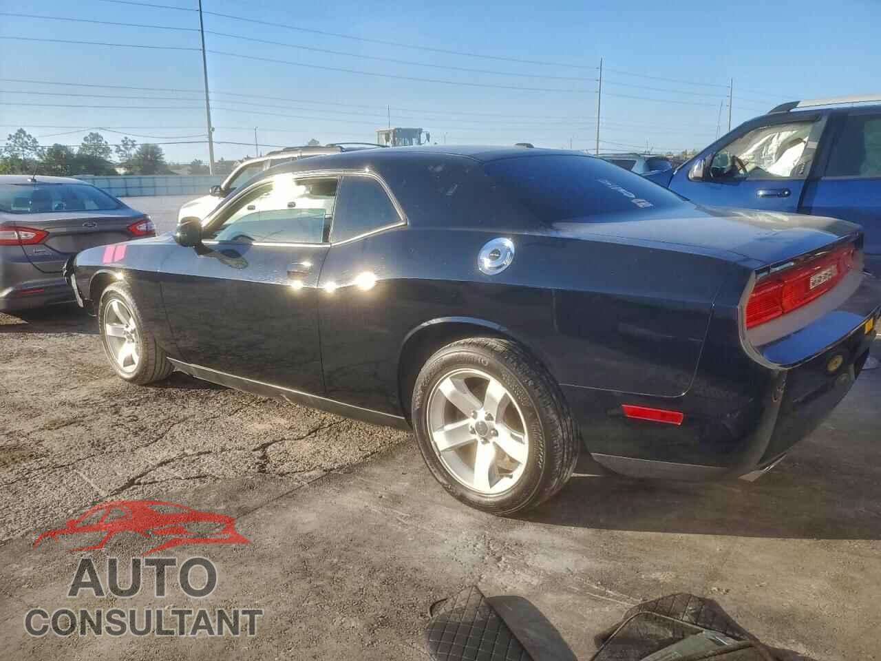 DODGE CHALLENGER 2013 - 2C3CDYAG3DH582144