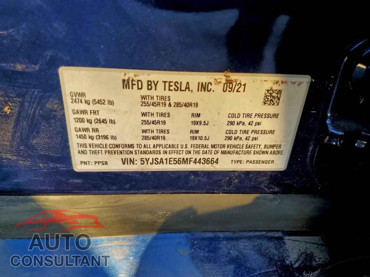 TESLA MODEL S 2021 - 5YJSA1E56MF443664