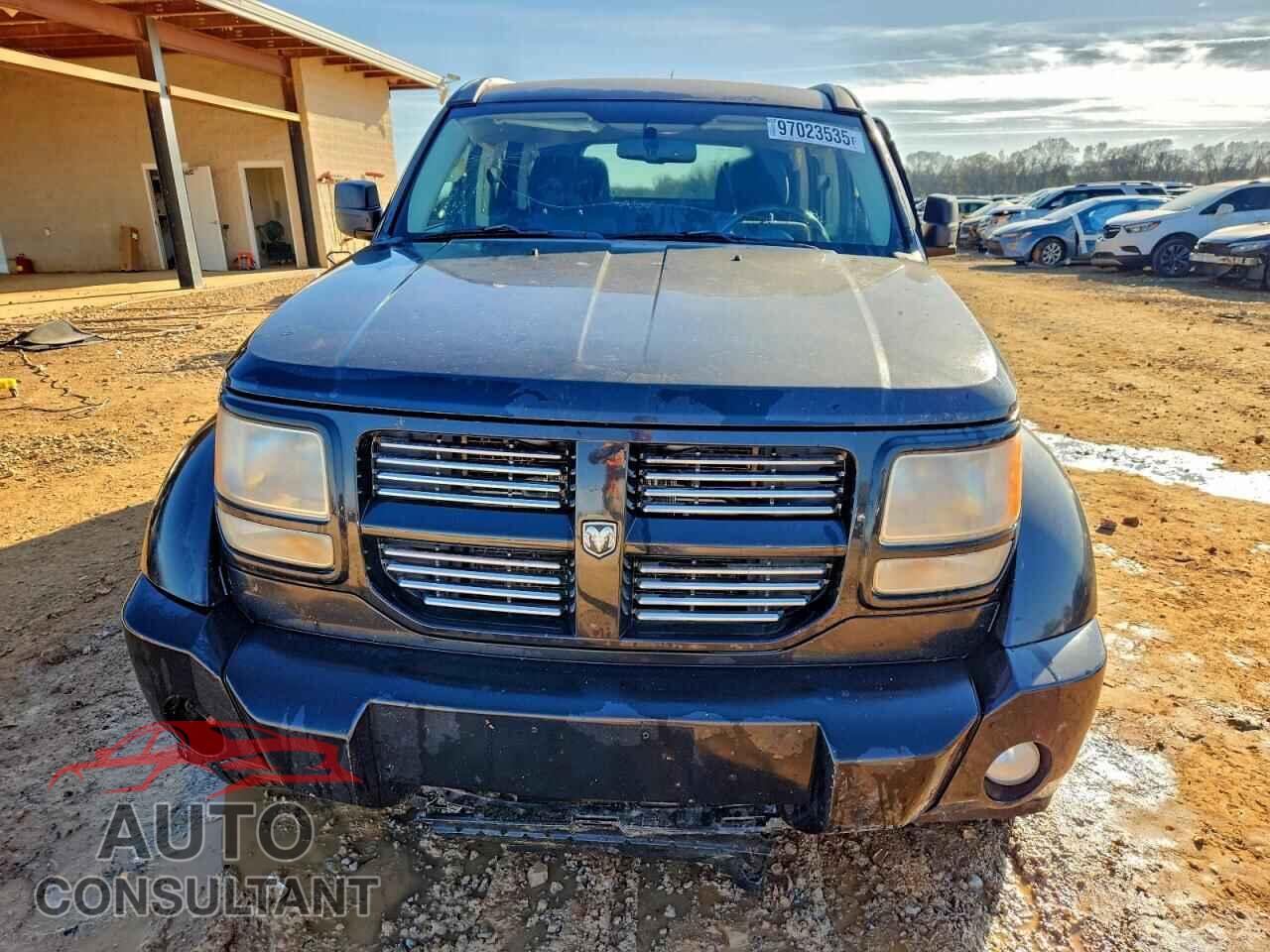 DODGE NITRO 2011 - 1D4PT5GK6BW545004
