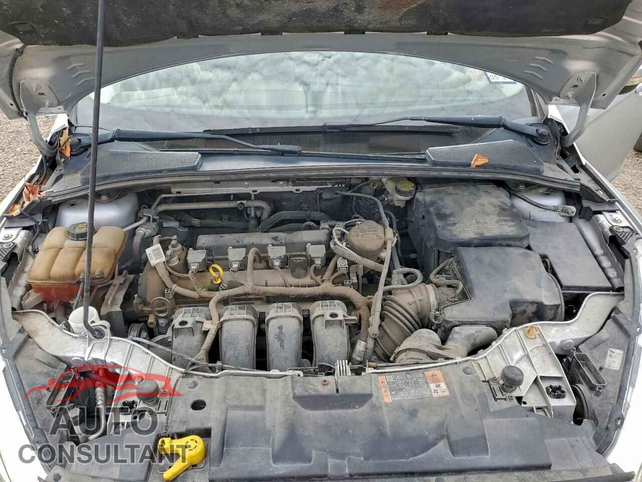 FORD FOCUS 2016 - 1FADP3F21GL217675