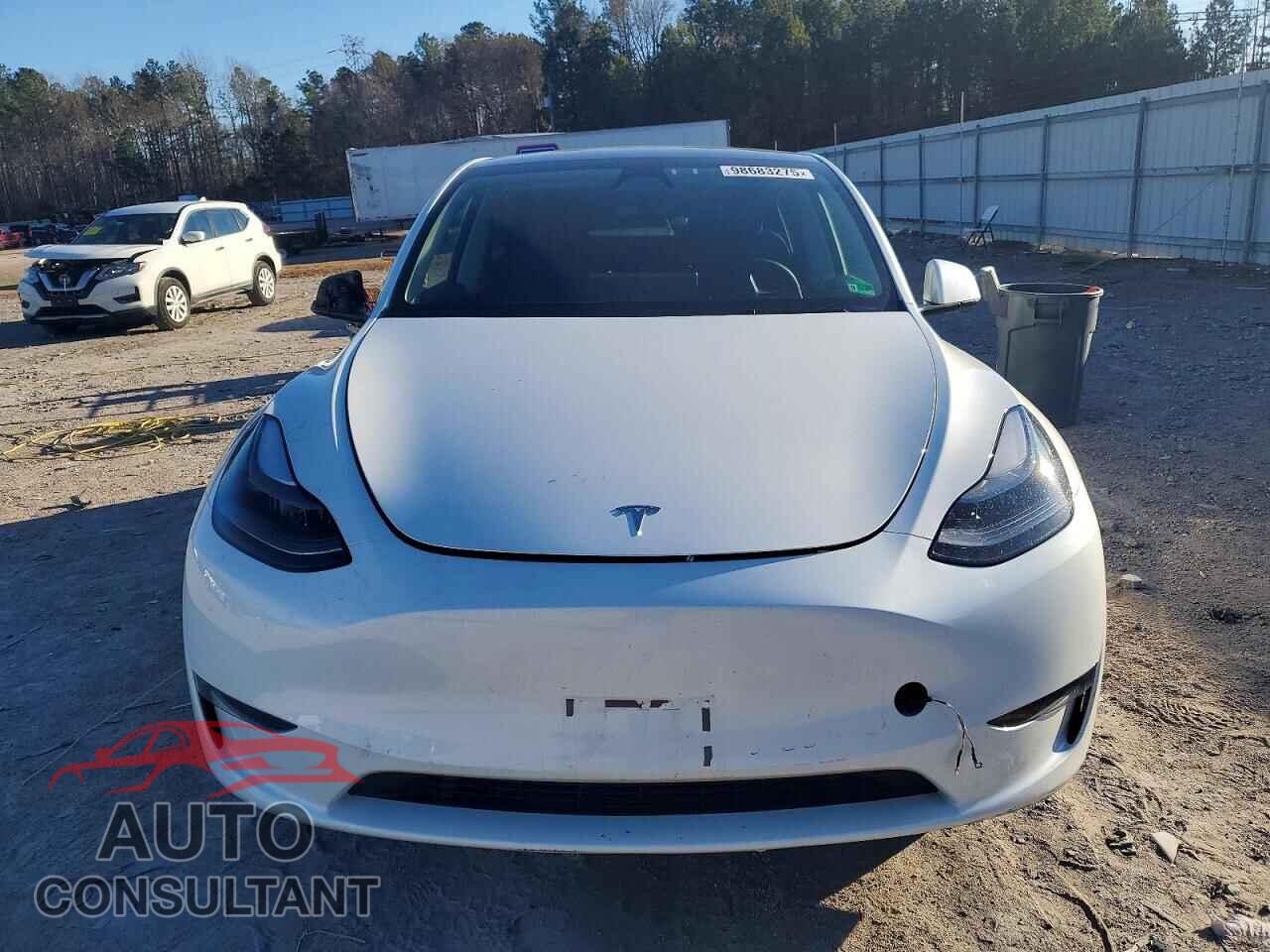 TESLA MODEL Y 2024 - 7SAYGDED1RF182598