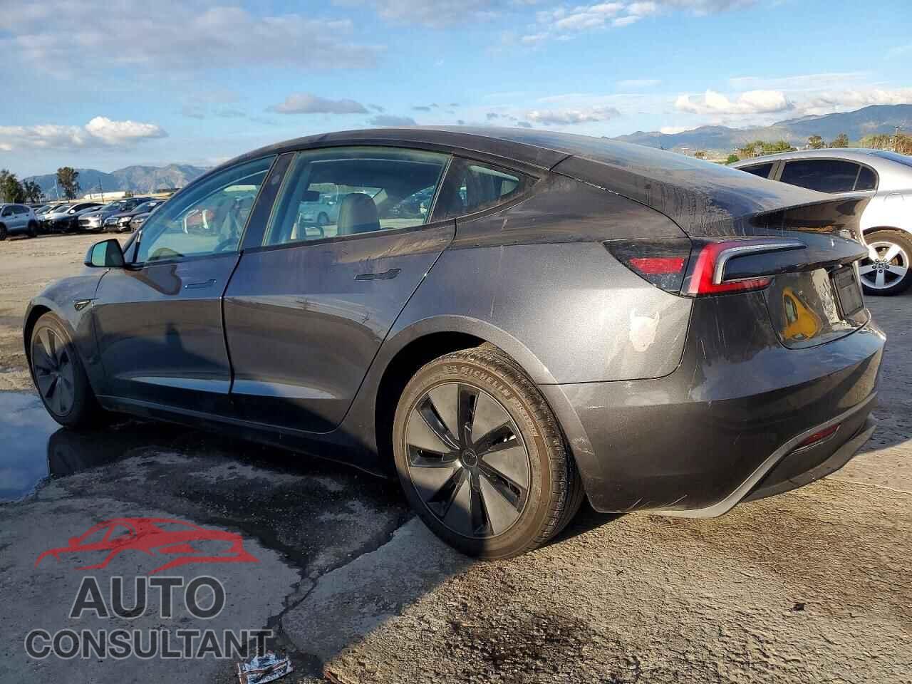 TESLA MODEL 3 2025 - 5YJ3E1EA1SF999996