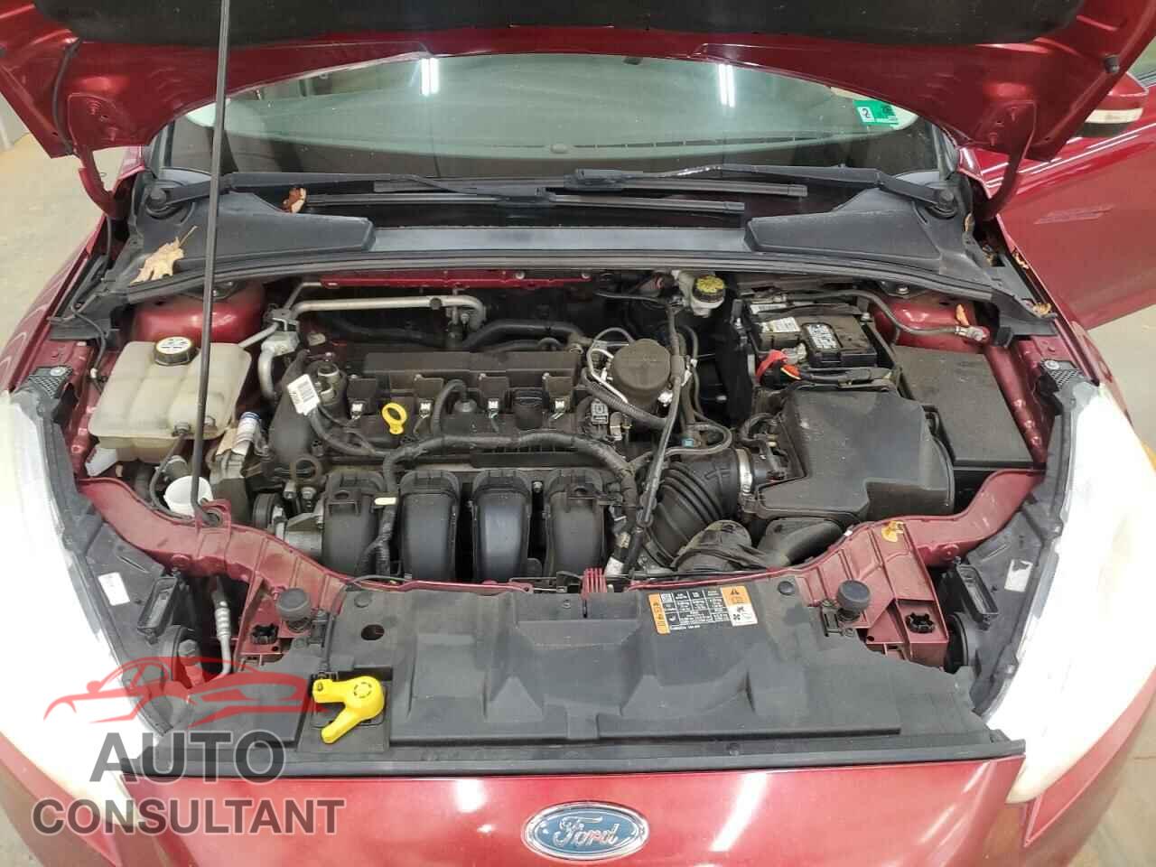 FORD FOCUS 2016 - 1FADP3F22GL241547
