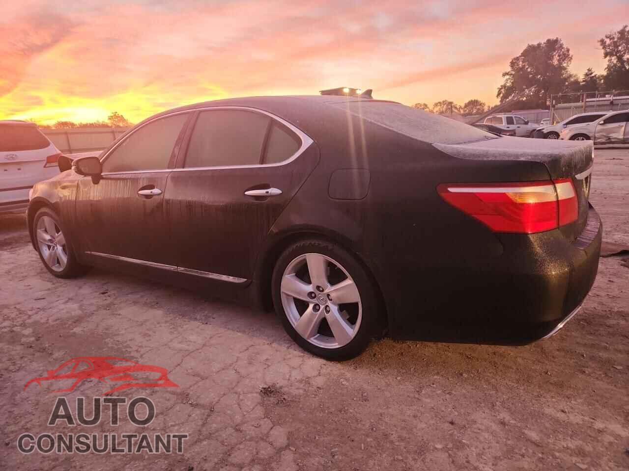 LEXUS LS460 2011 - JTHBL5EF8B5104346