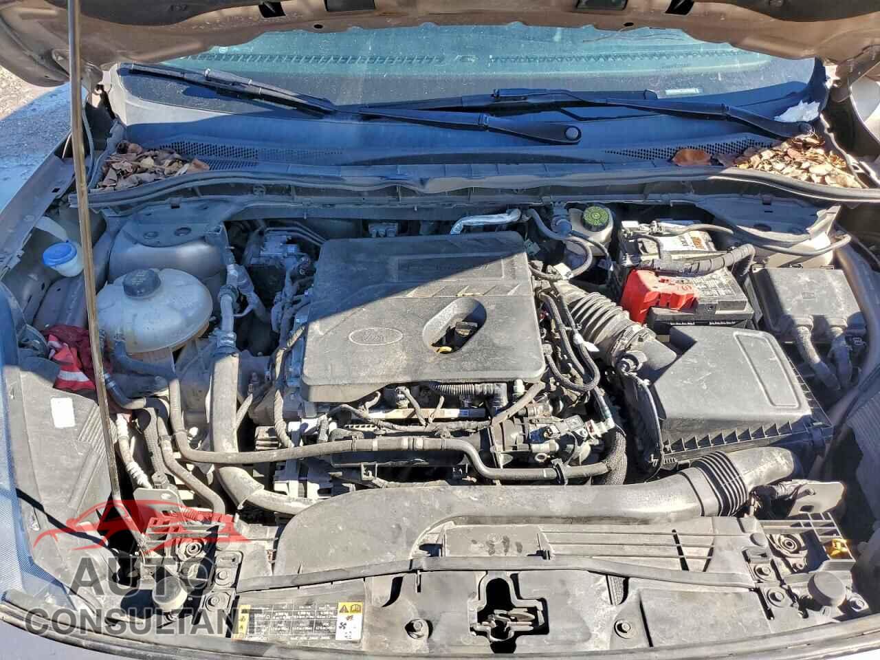 FORD ESCAPE 2020 - 1FMCU0G67LUA75489