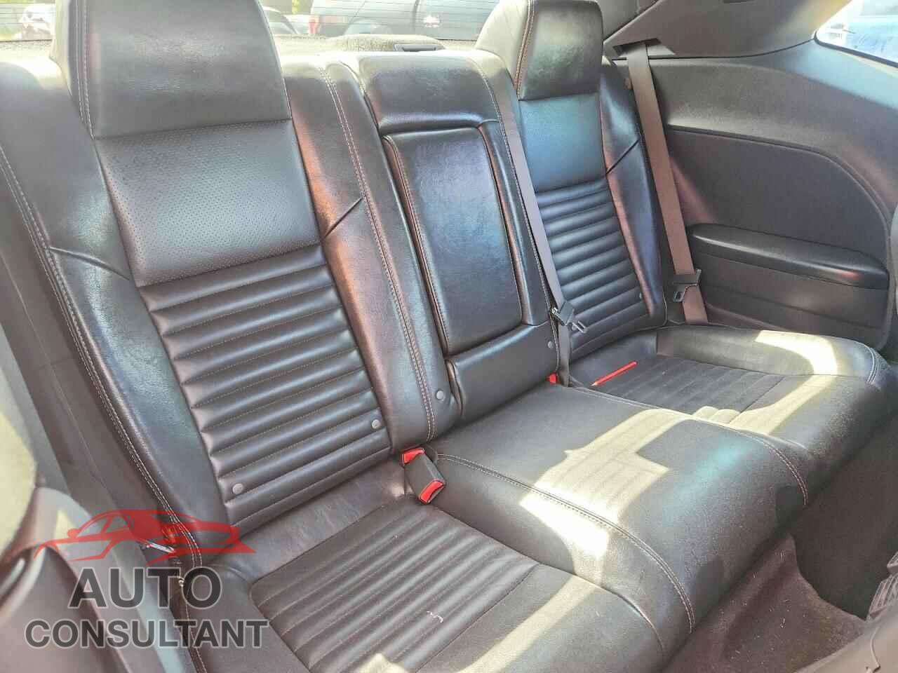 DODGE CHALLENGER 2010 - 2B3CJ5DTXAH130863