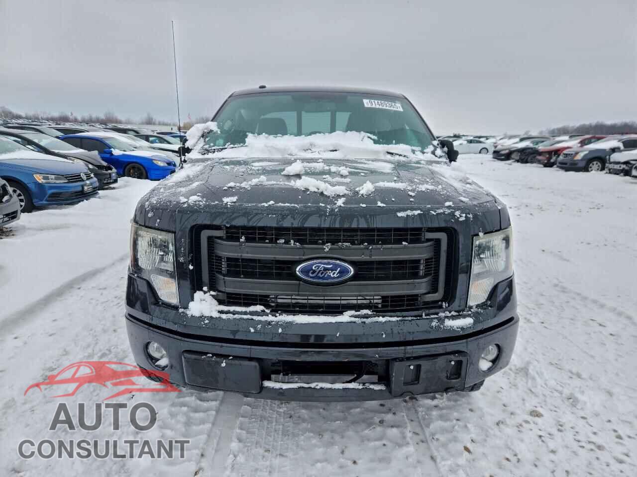FORD F-150 2013 - 1FTFX1ET4DFB77832
