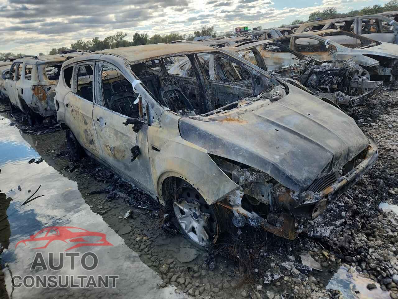 FORD ESCAPE 2013 - 1FMCU0F72DUB70540