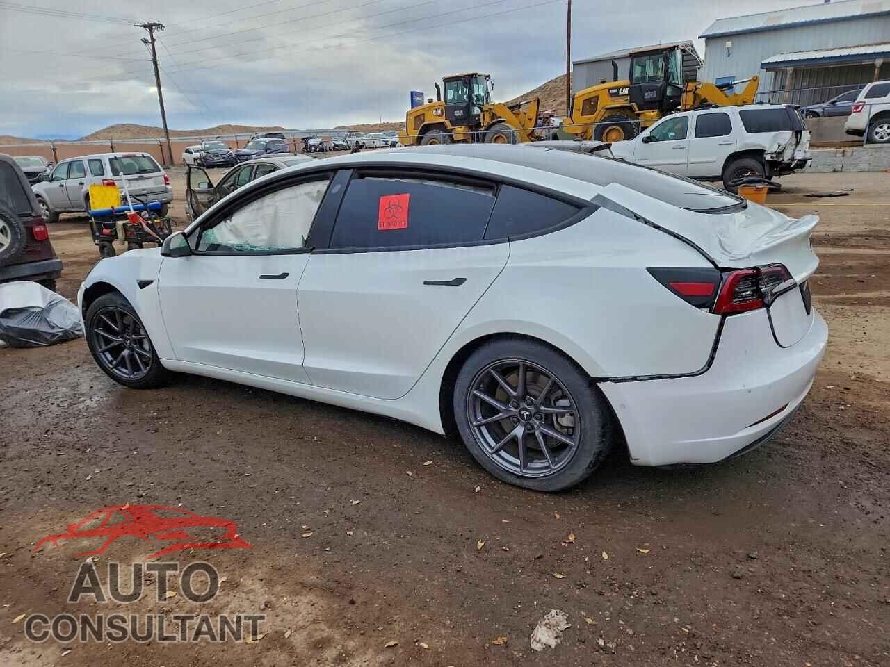 TESLA MODEL 3 2021 - 5YJ3E1EA0MF043802