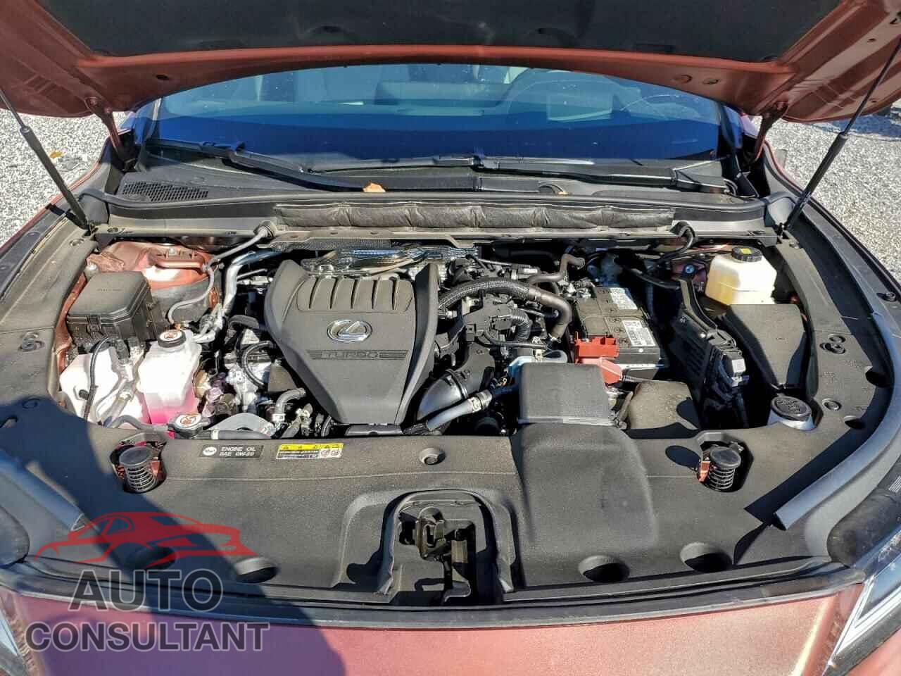 LEXUS RX350 2023 - 2T2BAMCA2PC020280