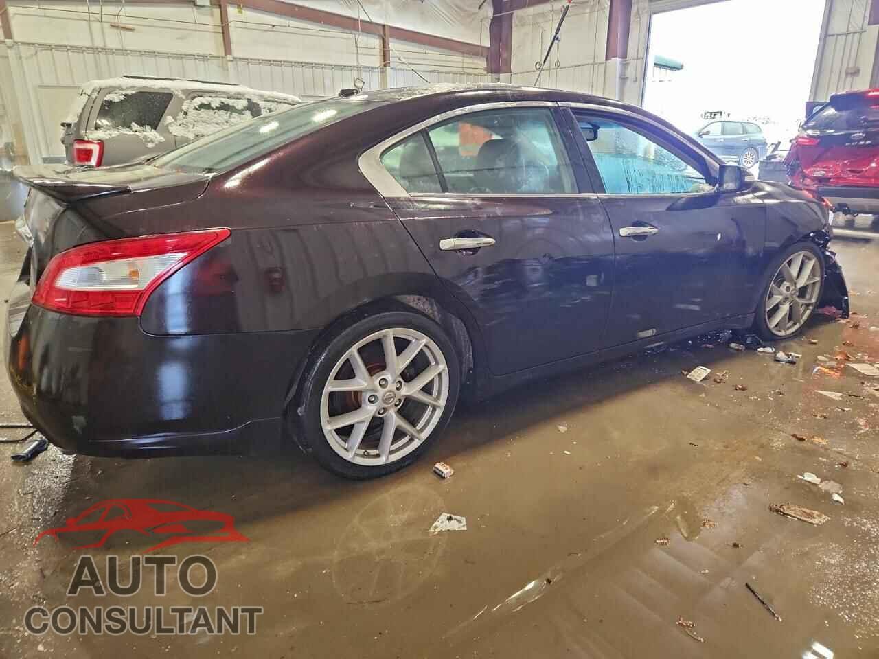 NISSAN MAXIMA 2011 - 1N4AA5AP8BC841744