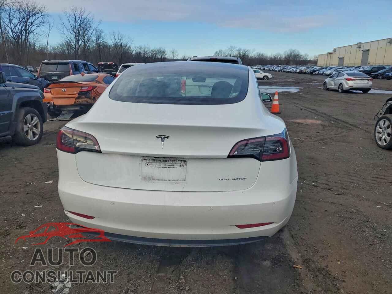TESLA MODEL 3 2021 - 5YJ3E1EB2MF059489