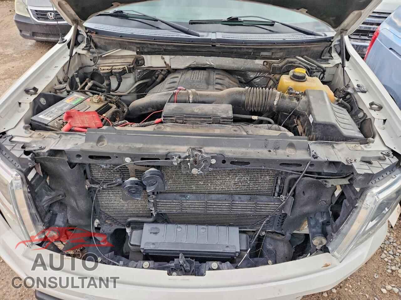 FORD F-150 2013 - 1FTFW1ET1DFD82995