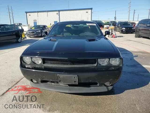 DODGE CHALLENGER 2013 - 2C3CDYAG6DH676485