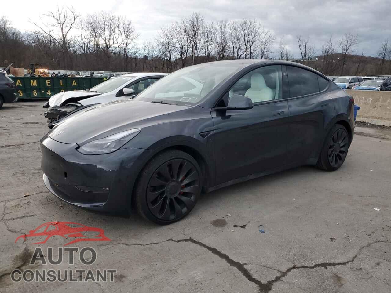 TESLA MODEL Y 2025 - 7SAYGDEFXSA352283
