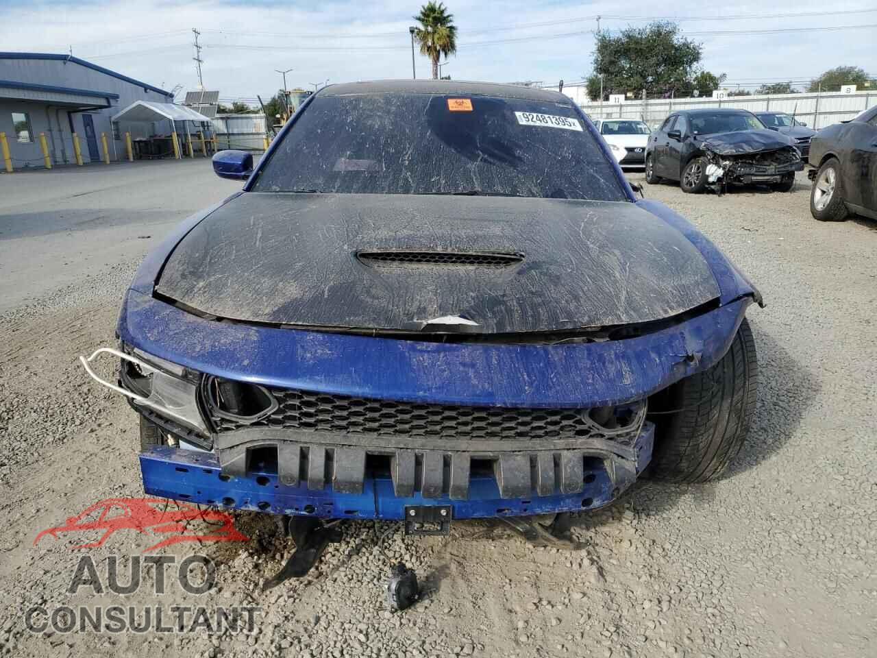 DODGE CHARGER 2020 - 2C3CDXGJ3LH195511