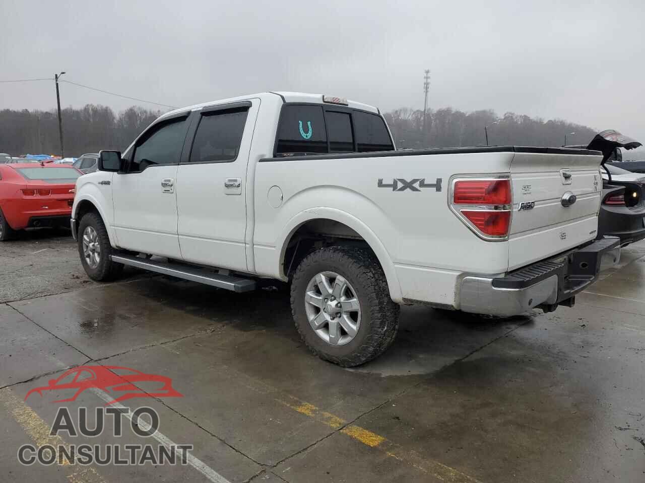 FORD F-150 2013 - 1FTFW1EF0DKD31859