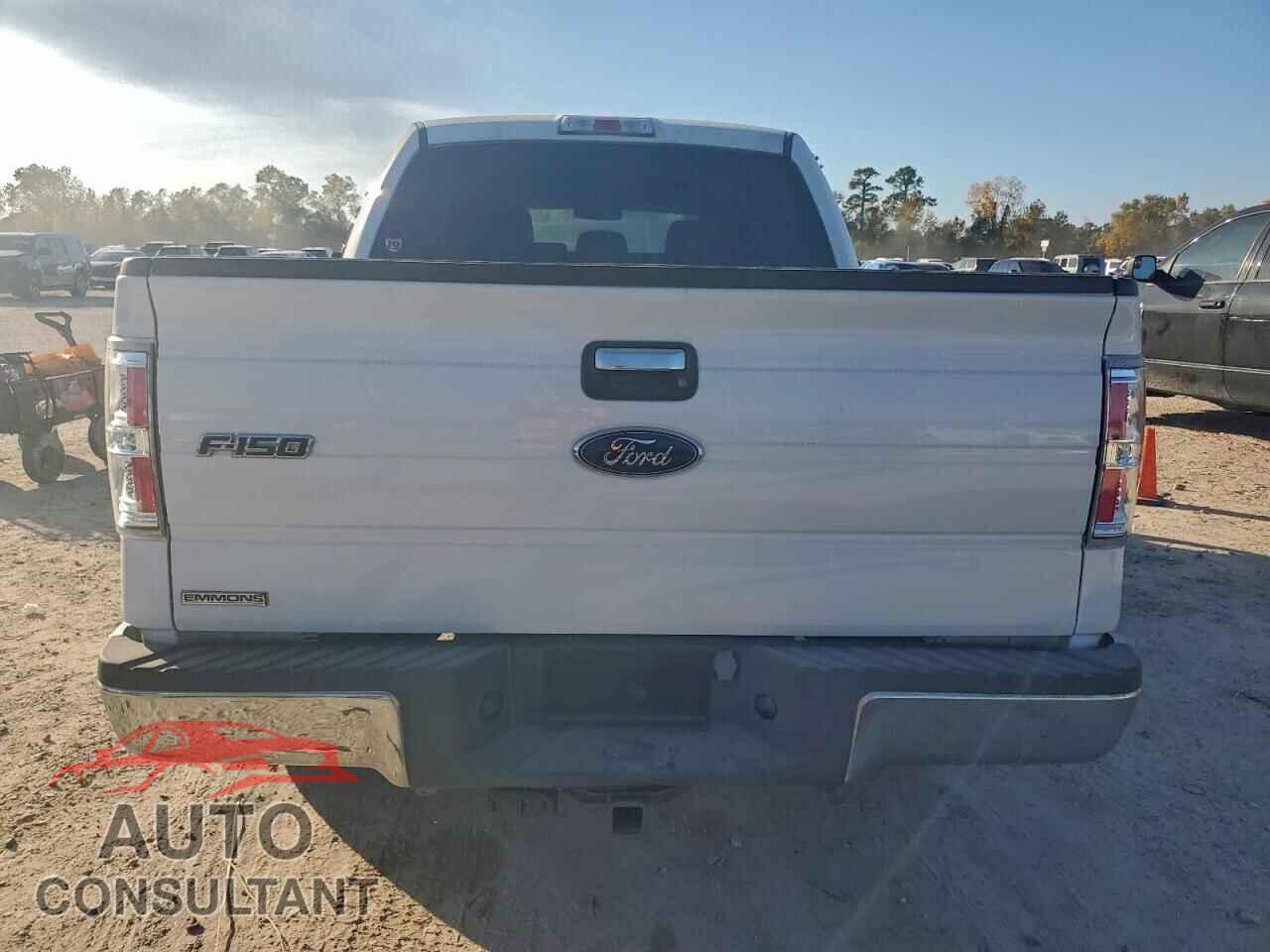 FORD F-150 2013 - 1FTFW1CT1DFA09202