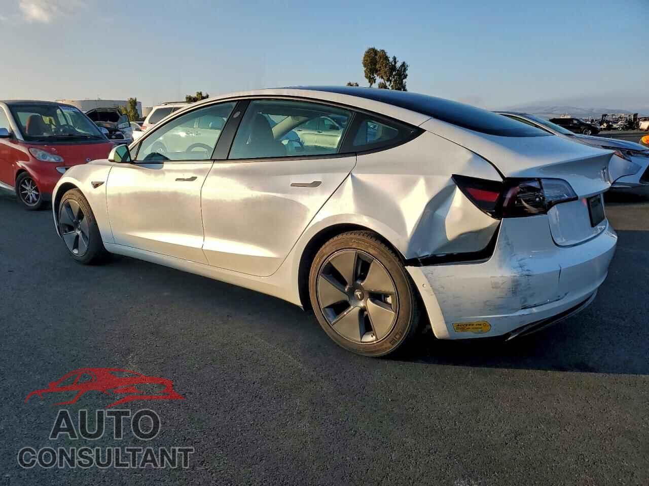 TESLA MODEL 3 2021 - 5YJ3E1EA1MF094032
