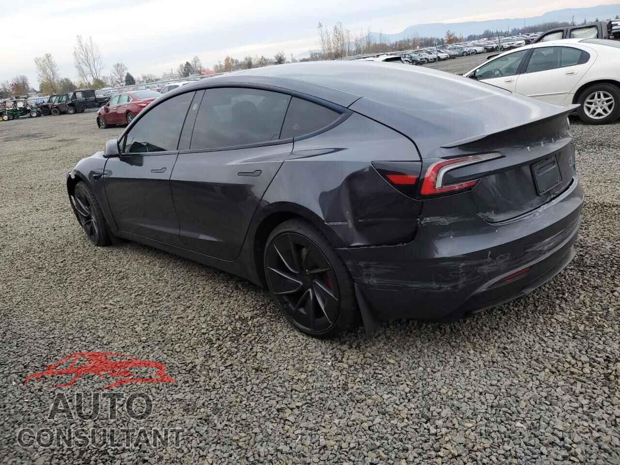 TESLA MODEL 3 2024 - 5YJ3E1ET4RF880819
