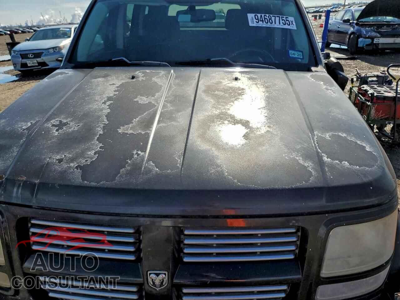 DODGE NITRO 2009 - 1D8GT58X89W549994