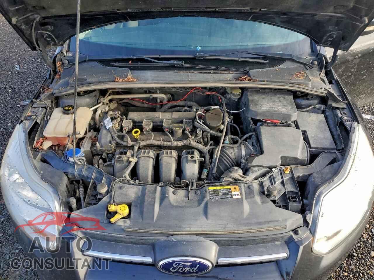 FORD FOCUS 2014 - 1FADP3K25EL232991
