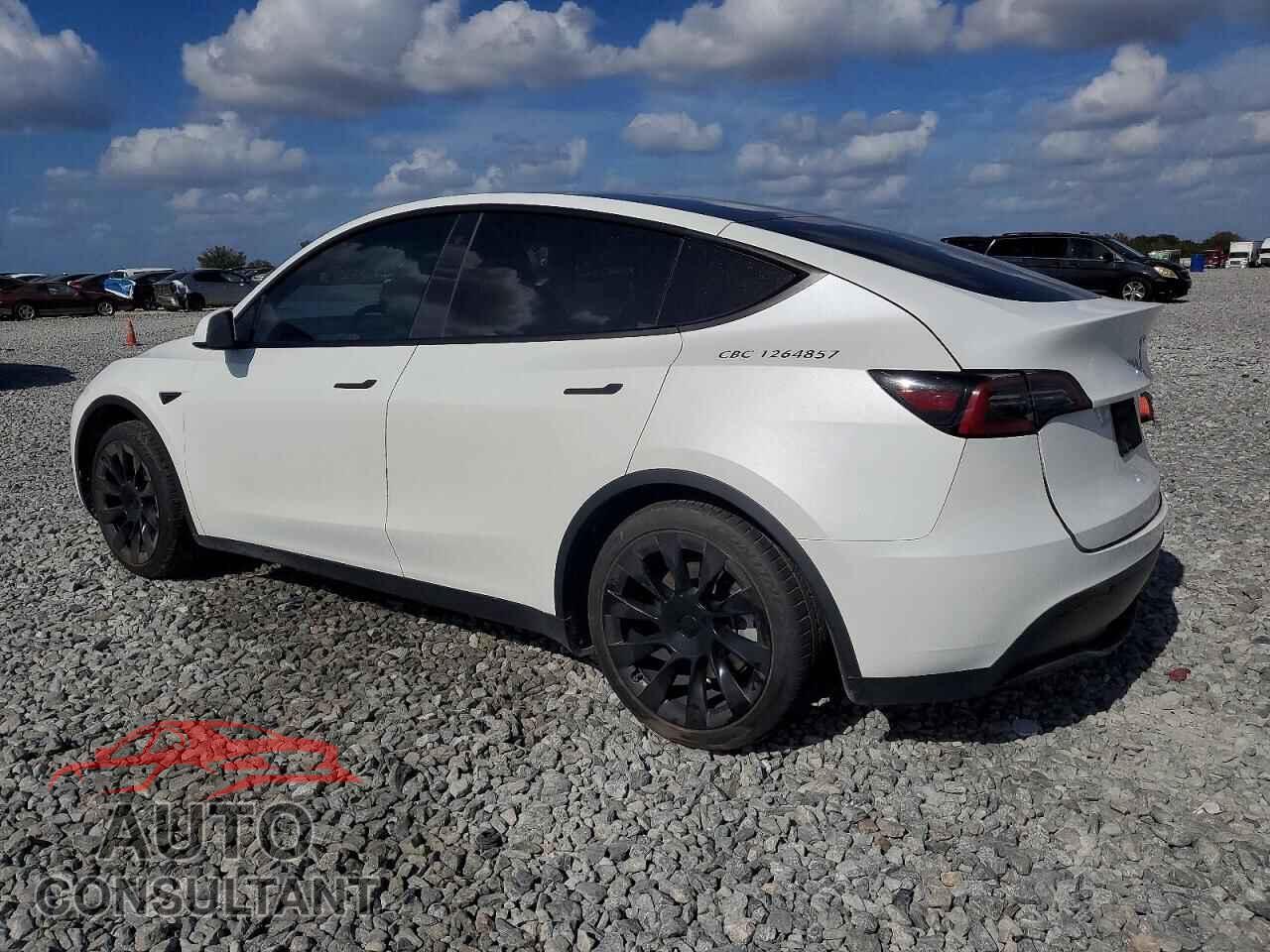 TESLA MODEL Y 2023 - 7SAYGDEEXPF611307