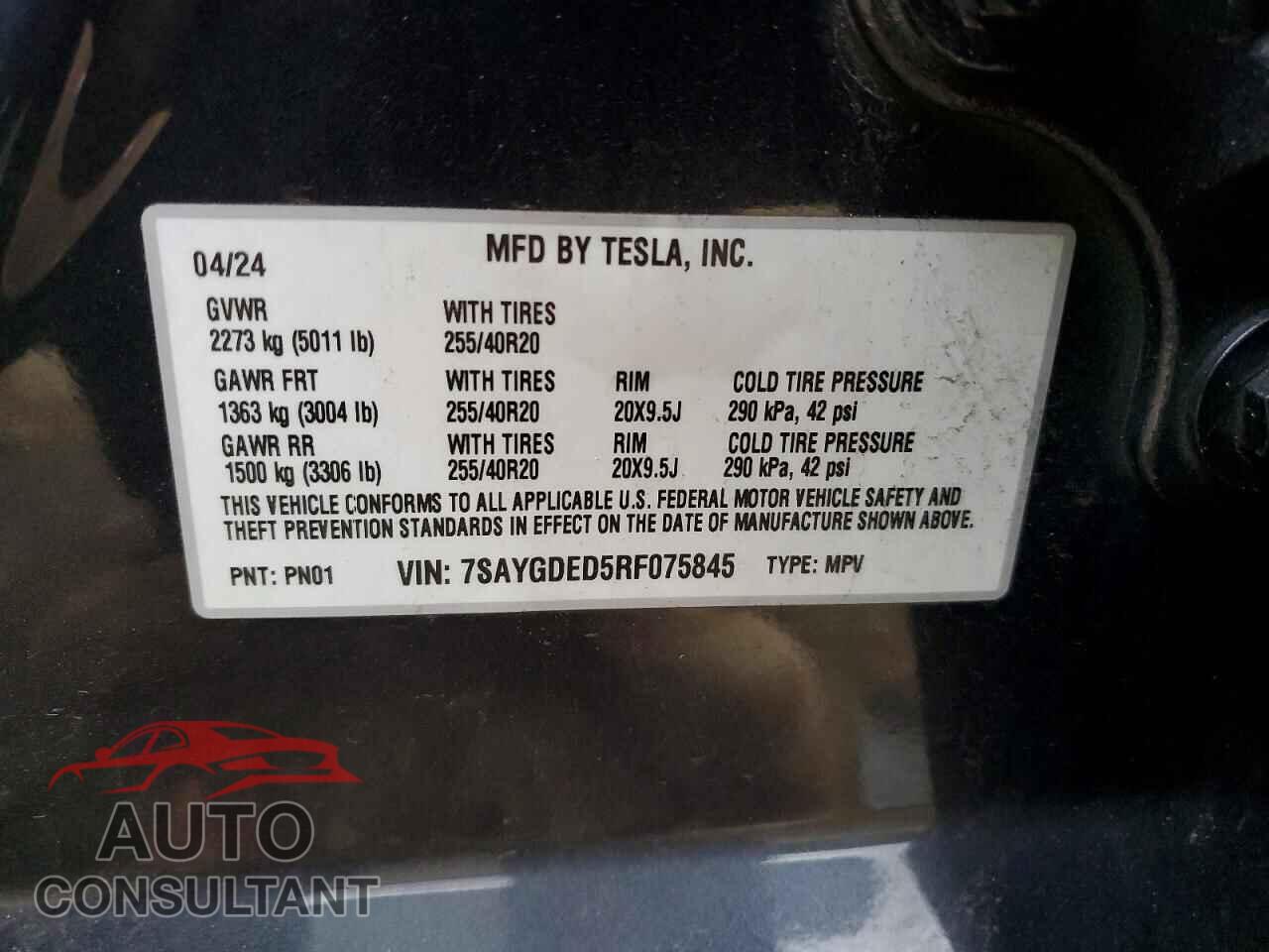 TESLA MODEL Y 2024 - 7SAYGDED5RF075845