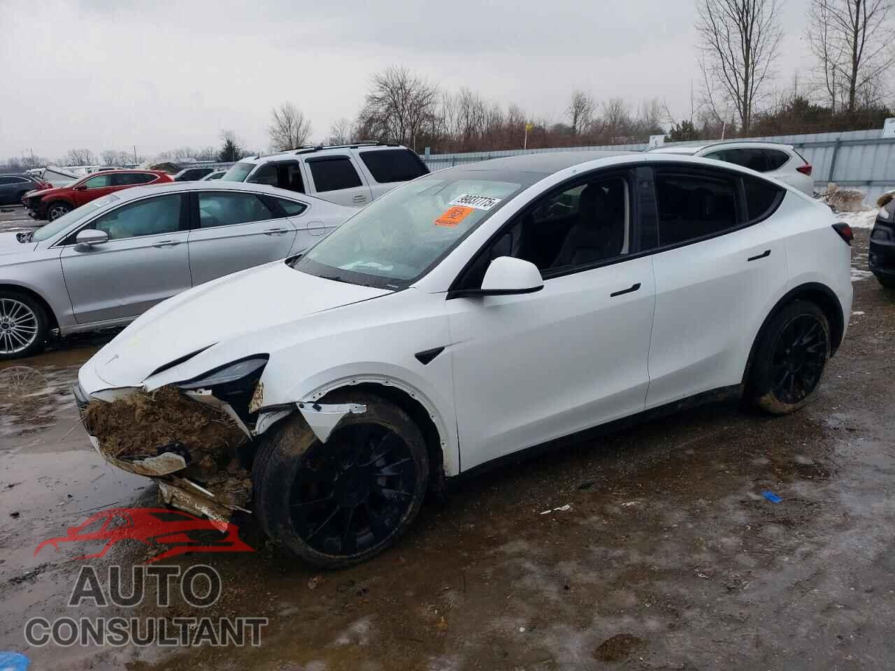TESLA MODEL Y 2023 - LRWYGDFD0PC929997
