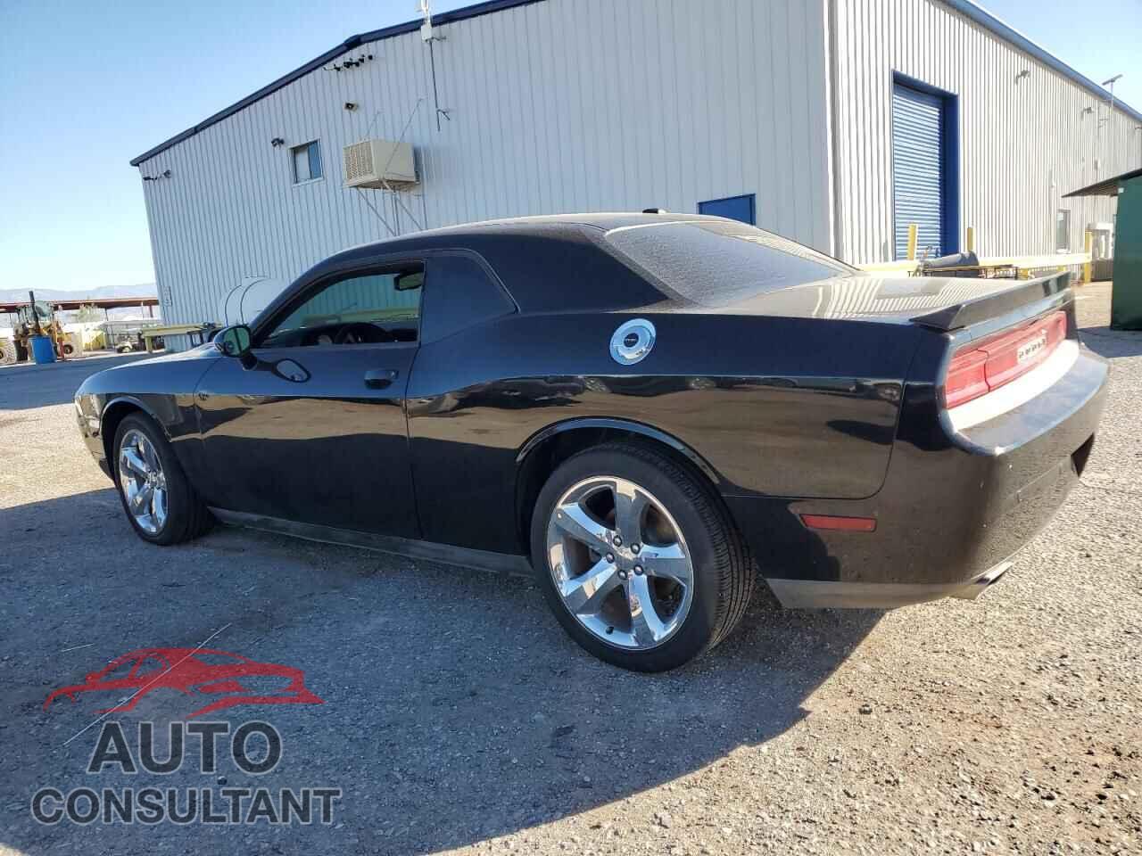 DODGE CHALLENGER 2013 - 2C3CDYBT4DH558379