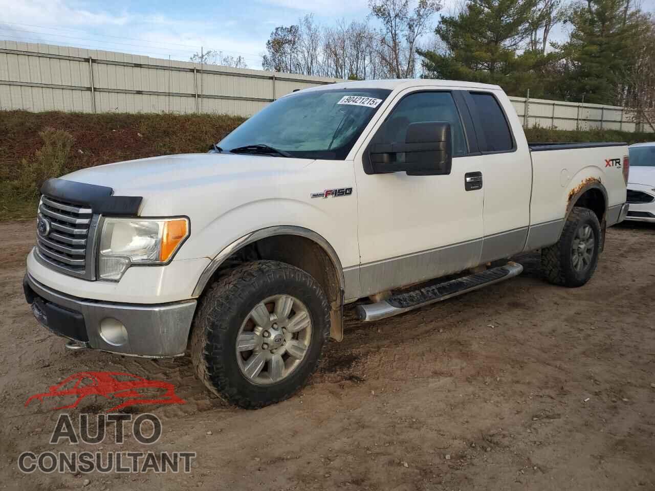FORD F-150 2010 - 1FTFX1EV8AFB11975