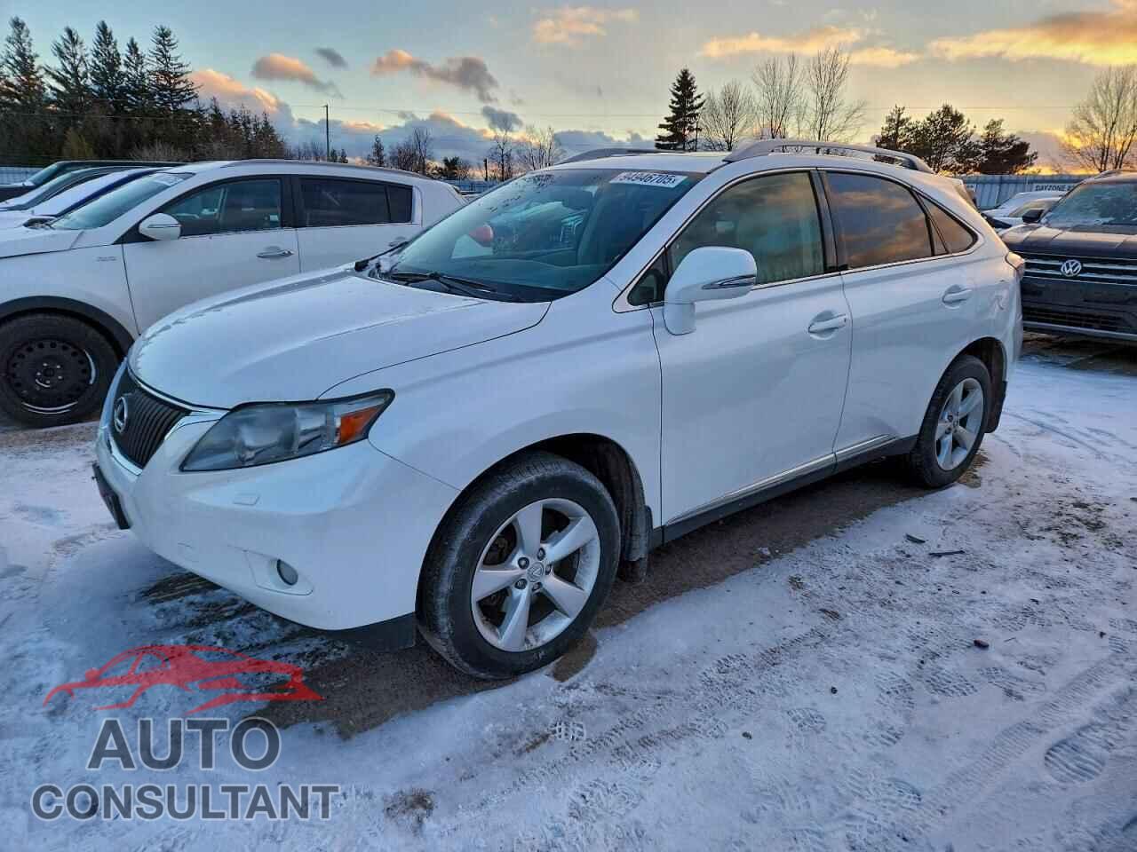 LEXUS RX350 2011 - 2T2BK1BA0BC114342