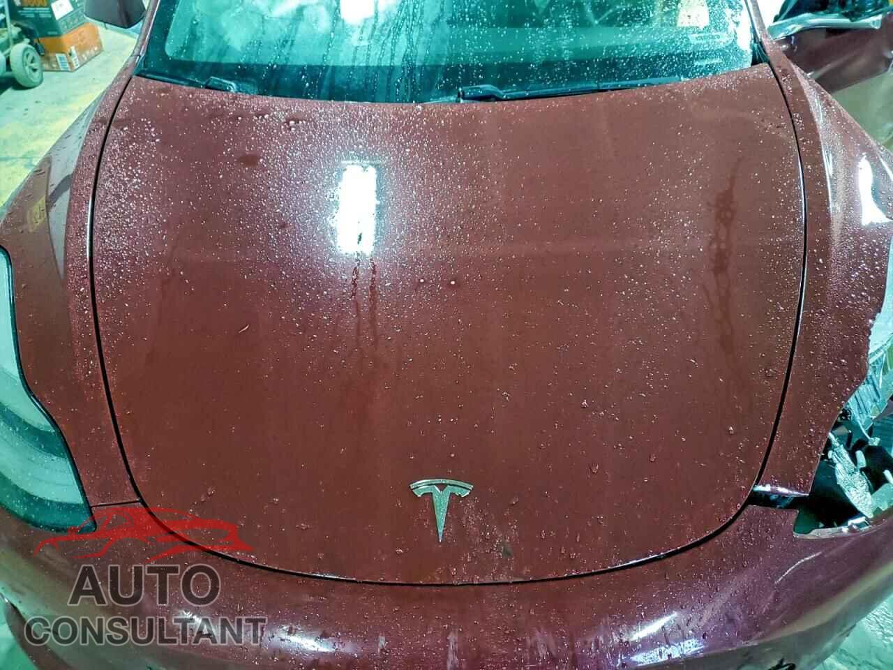 TESLA MODEL 3 2019 - 5YJ3E1EAXKF484561