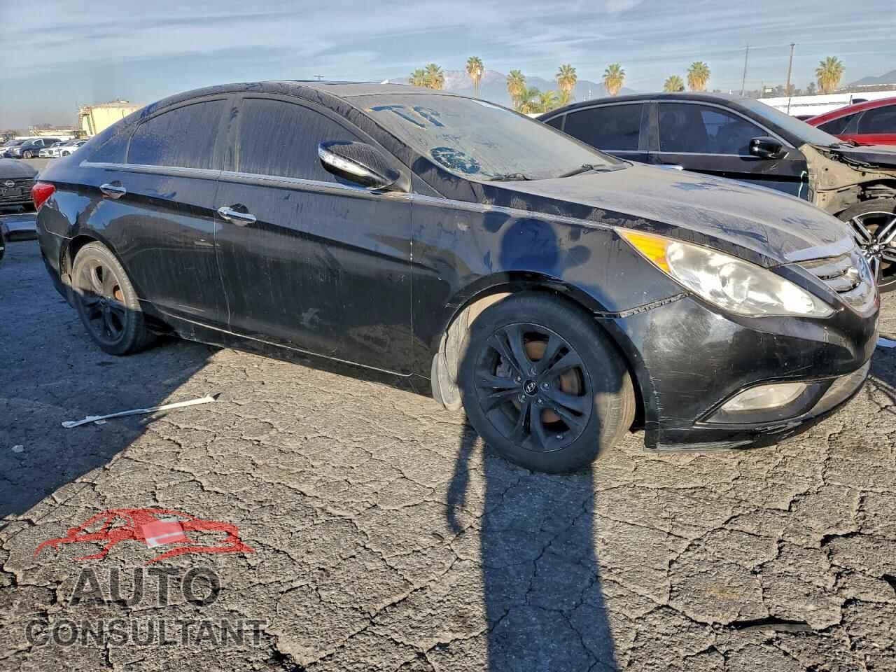 HYUNDAI SONATA 2013 - 5NPEC4AC6DH585401