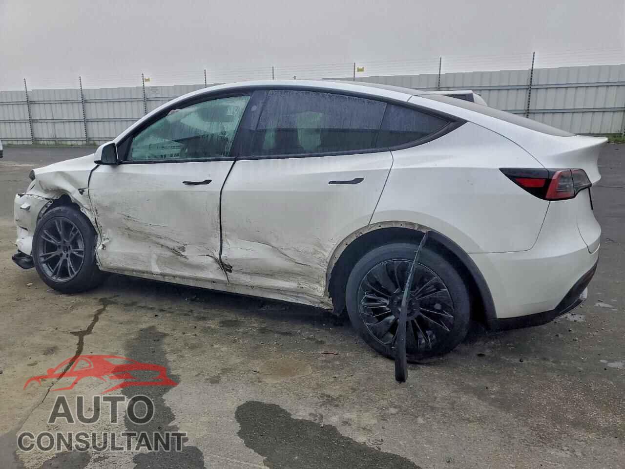 TESLA MODEL Y 2024 - 7SAYGDED9RF110760