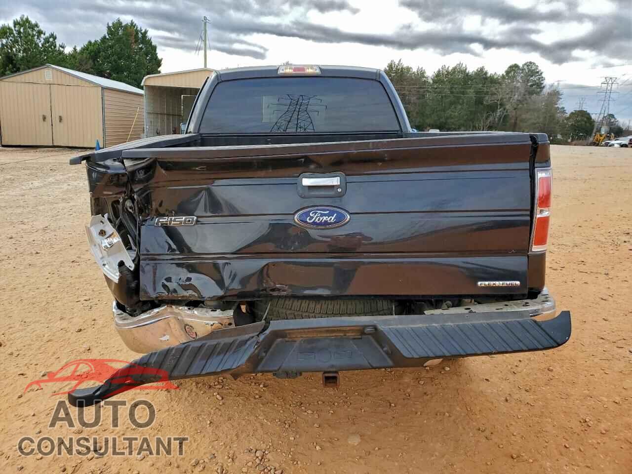 FORD F-150 2012 - 1FTFX1EF4CFC67264