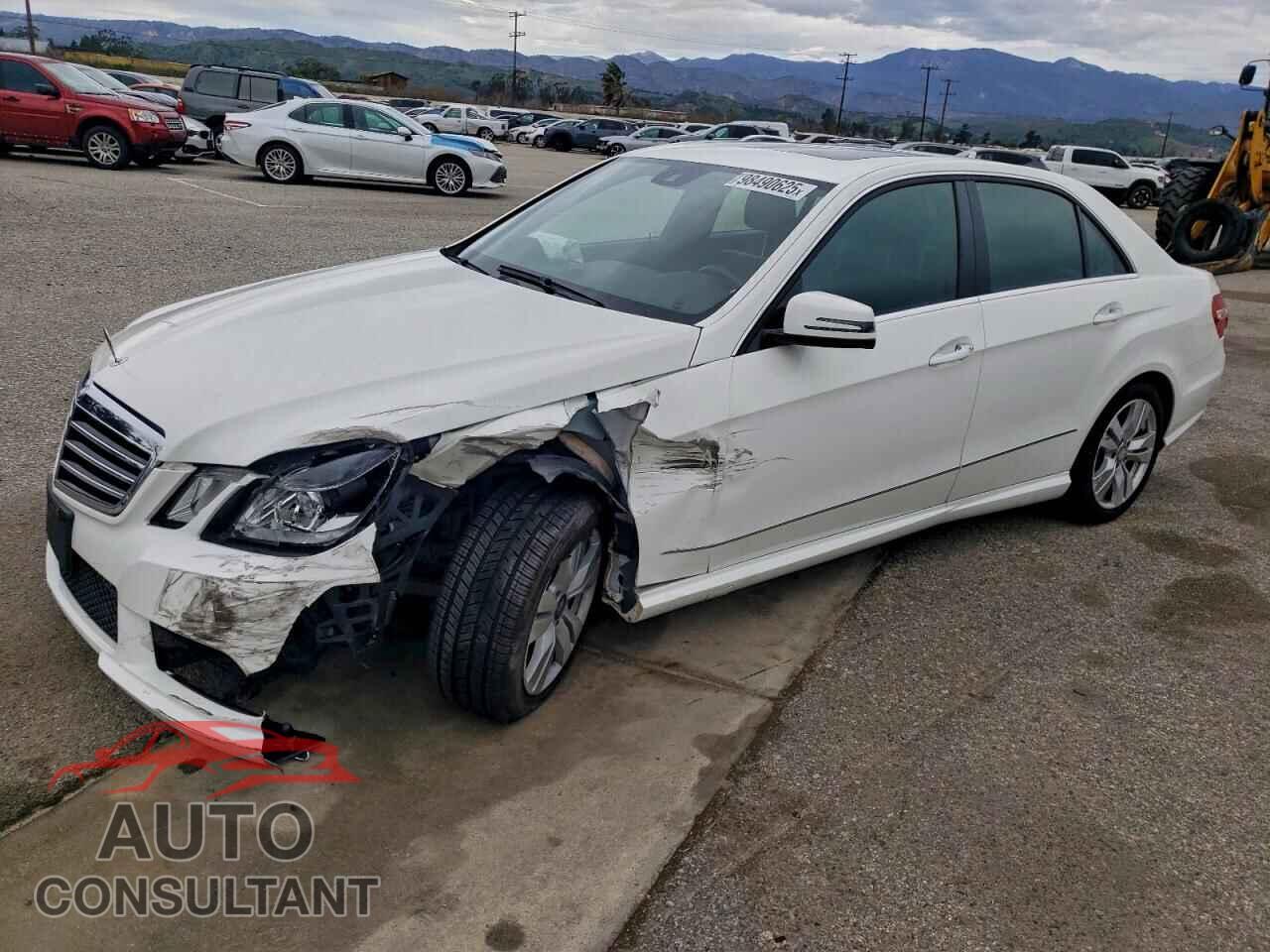 MERCEDES-BENZ E-CLASS 2013 - WDDHF9FB1DA738068