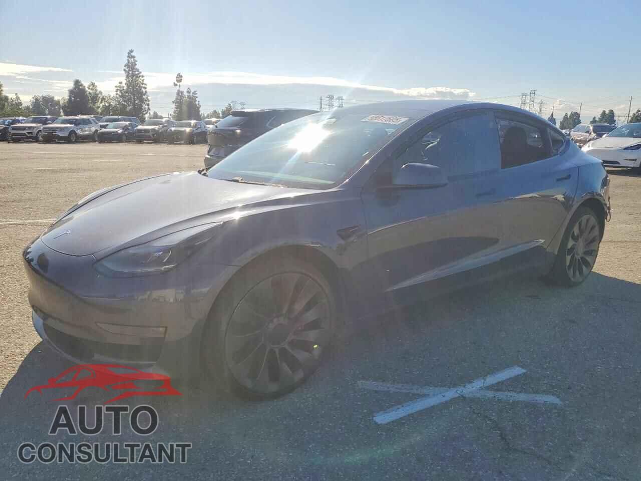 TESLA MODEL 3 2021 - 5YJ3E1EC6MF925980