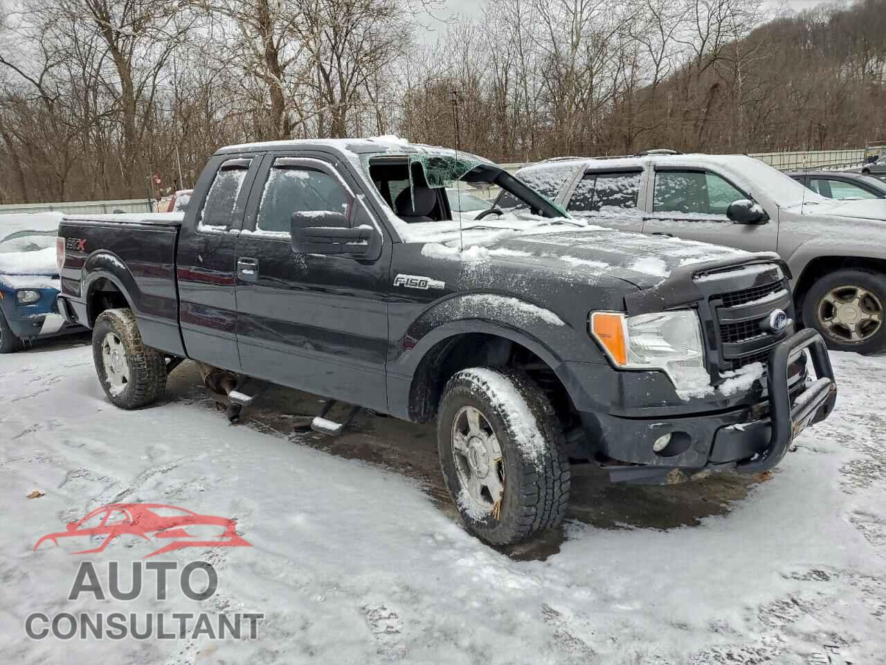 FORD F-150 2014 - 1FTEX1EM4EFB36252