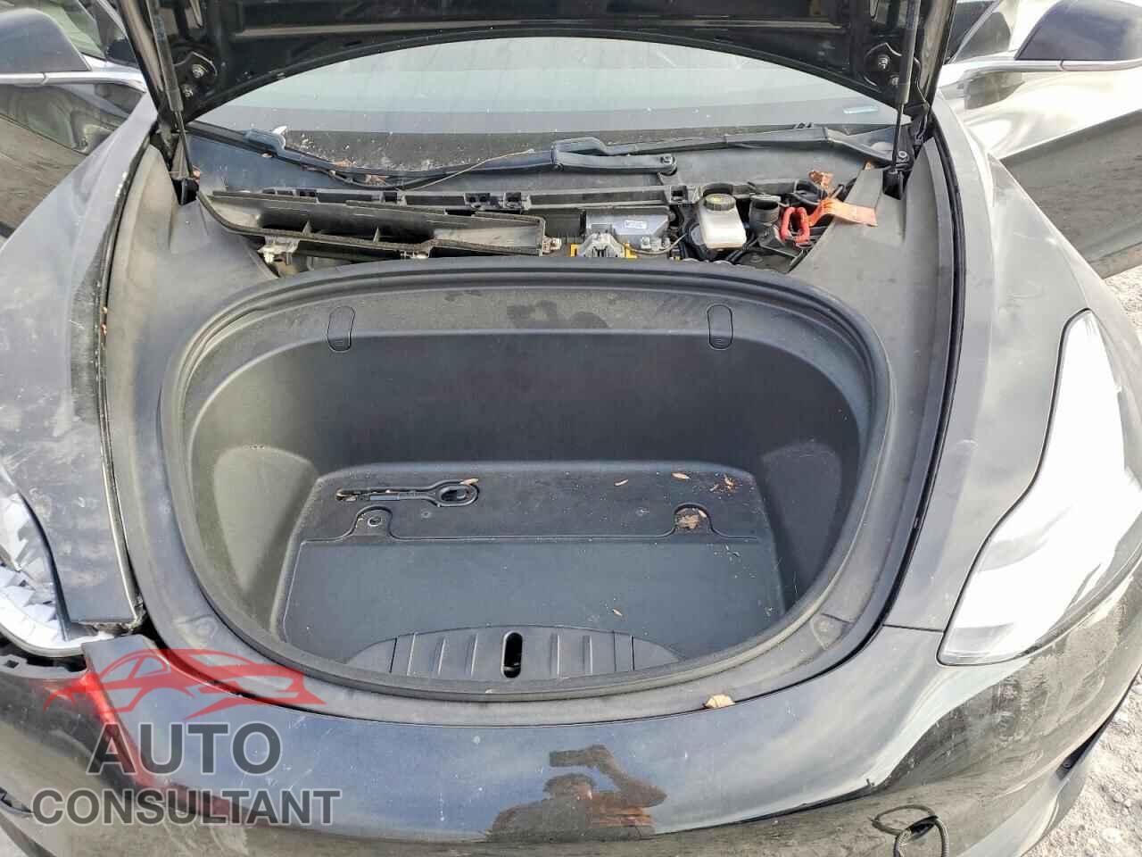 TESLA MODEL 3 2019 - 5YJ3E1EA0KF394545